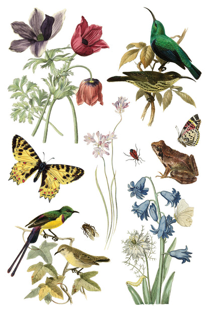 Iron Orchid Designs - Decor Transfer - Wilde Bloemen