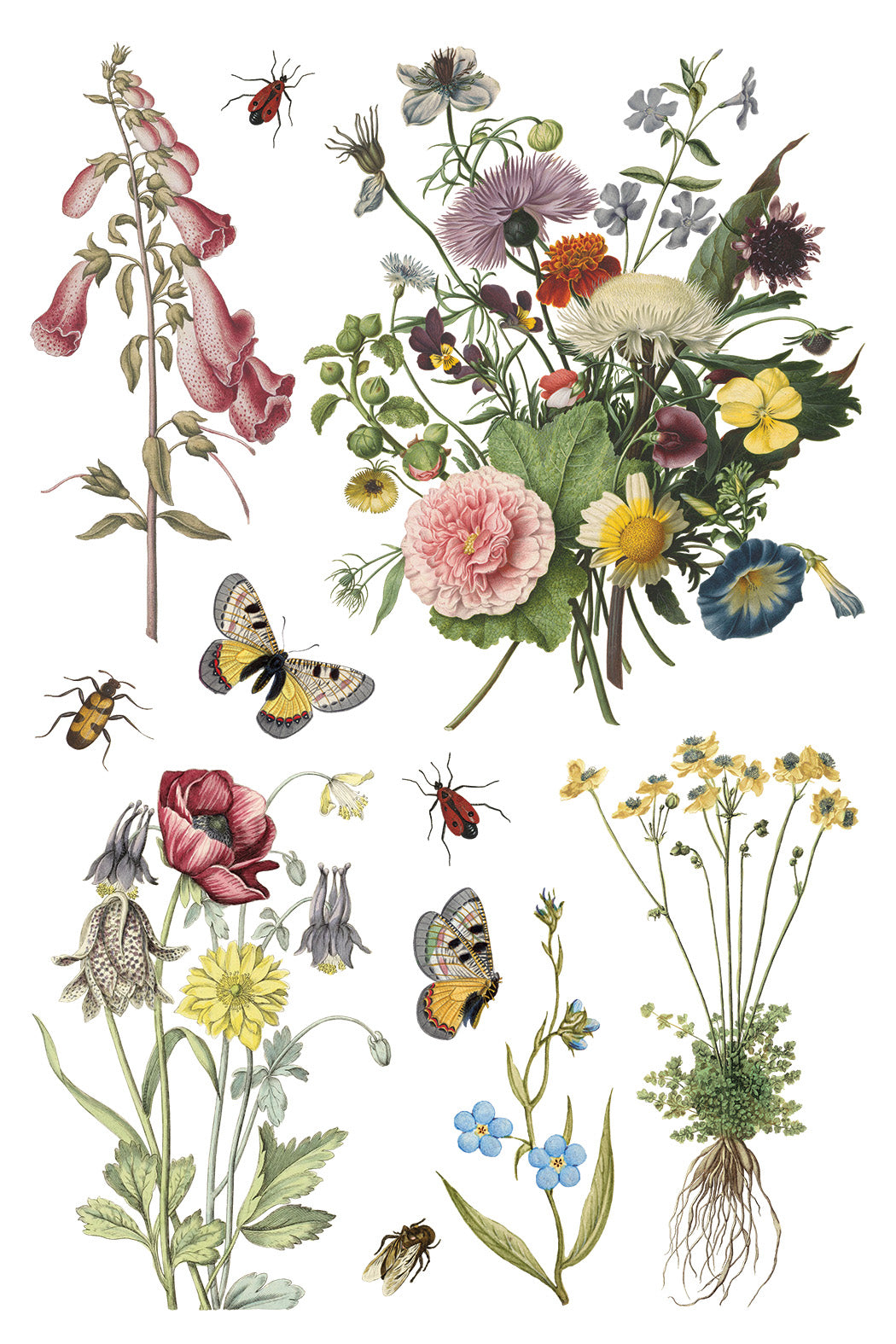 Iron Orchid Designs - Decor Transfer - Wilde Bloemen