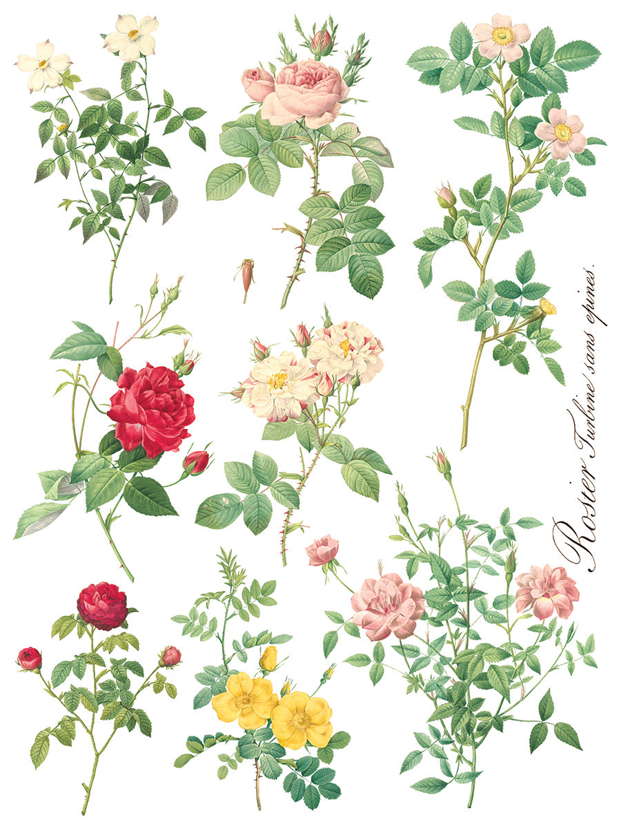 Iron Orchid Designs - Decor Transfer - Rose Botanical