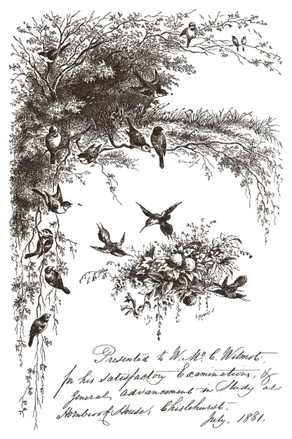 Iron Orchid Designs - Paint Inlay - Little Lark