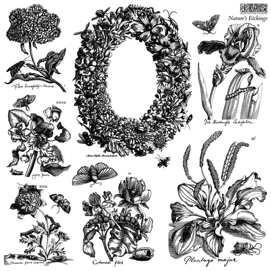 Iron Orchid Designs - Decor Stamp - Nature's Etchings