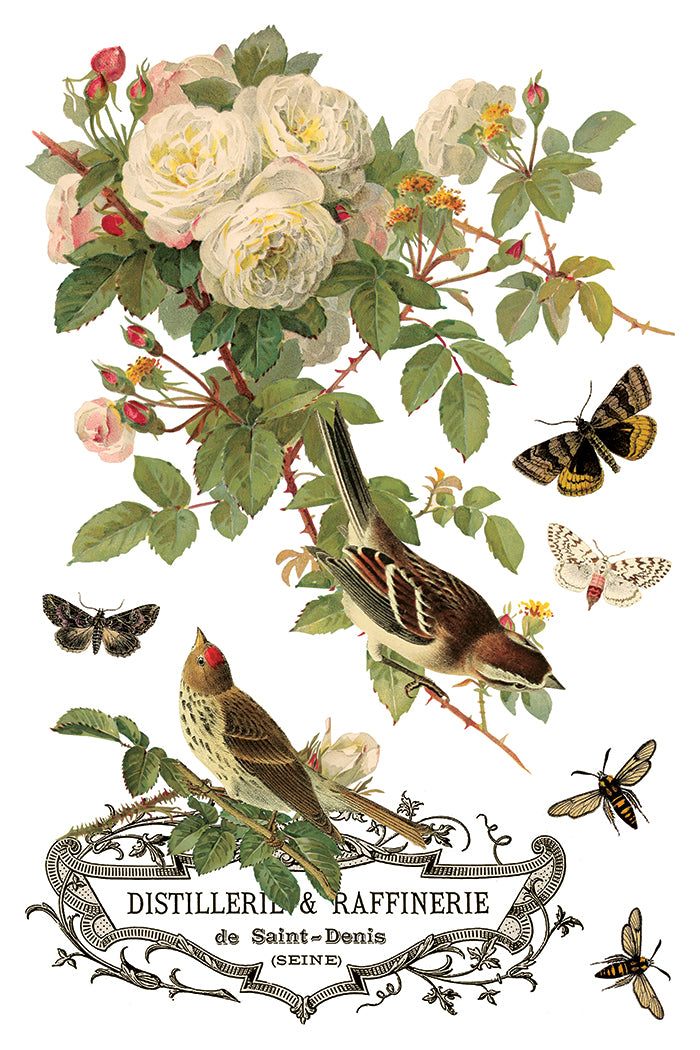 Iron Orchid Designs - Decor Transfer - By Any Other Name