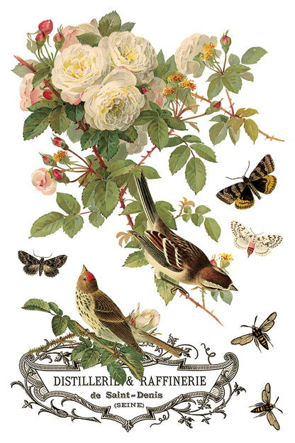 Iron Orchid Designs - Decor Transfer - By Any Other Name