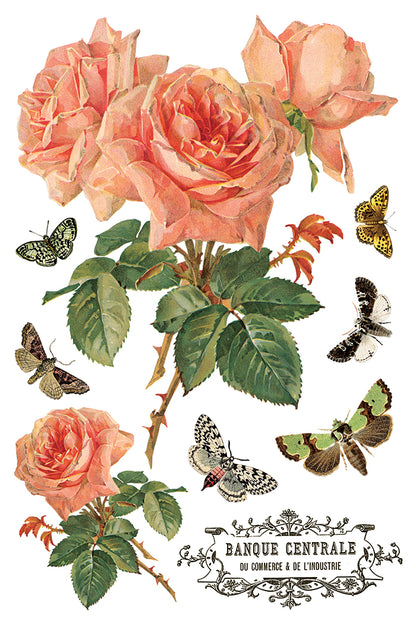 Iron Orchid Designs - Decor Transfer - By Any Other Name