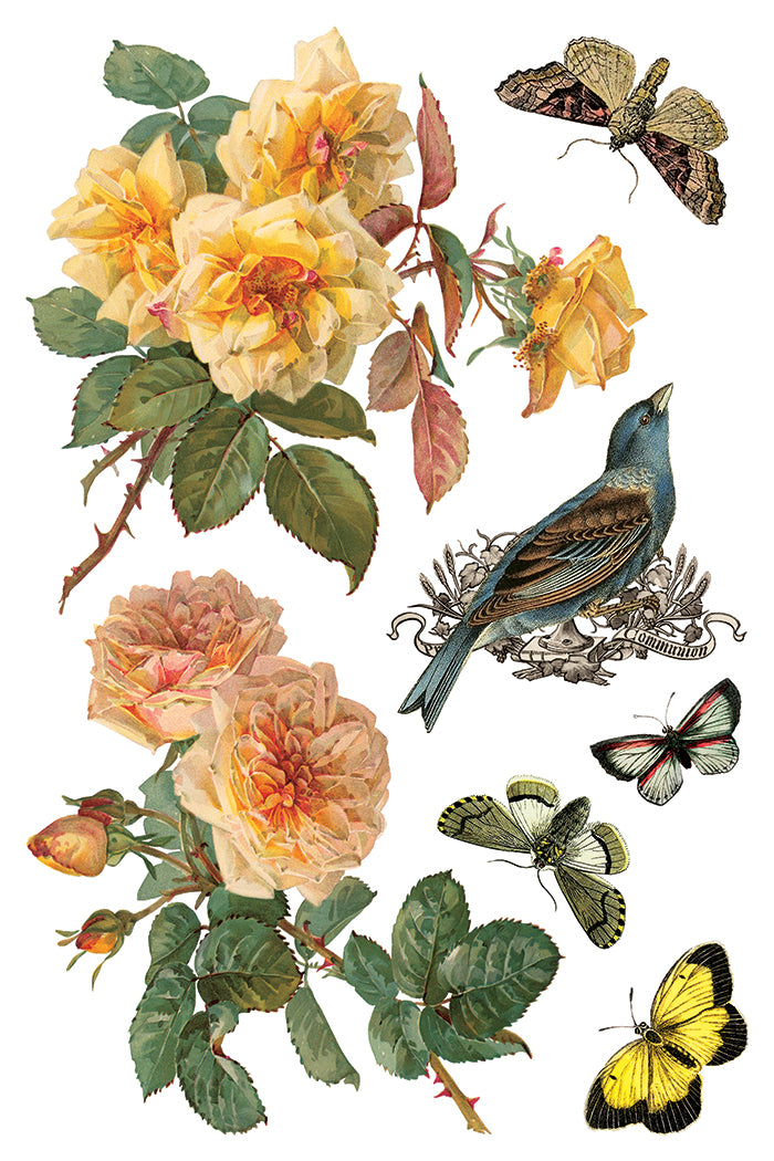 Iron Orchid Designs - Decor Transfer - By Any Other Name