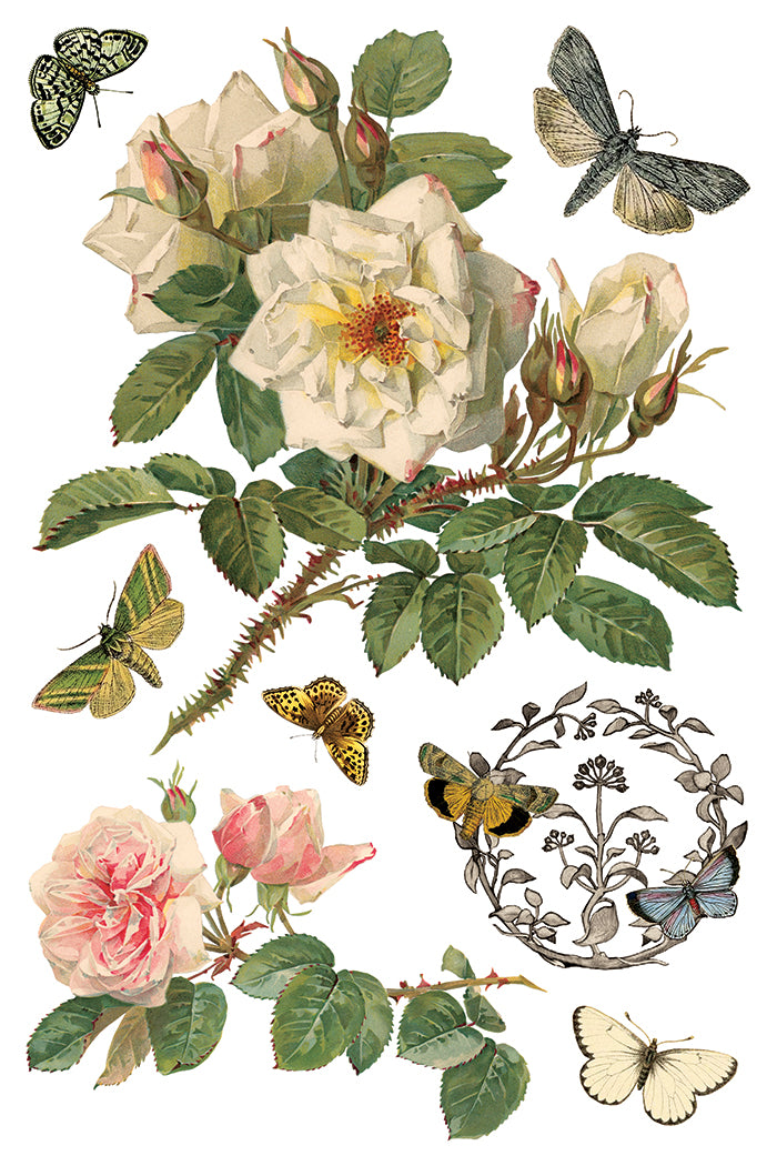 Iron Orchid Designs - Decor Transfer - By Any Other Name