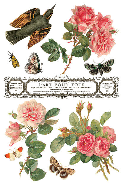 Iron Orchid Designs - Decor Transfer - By Any Other Name