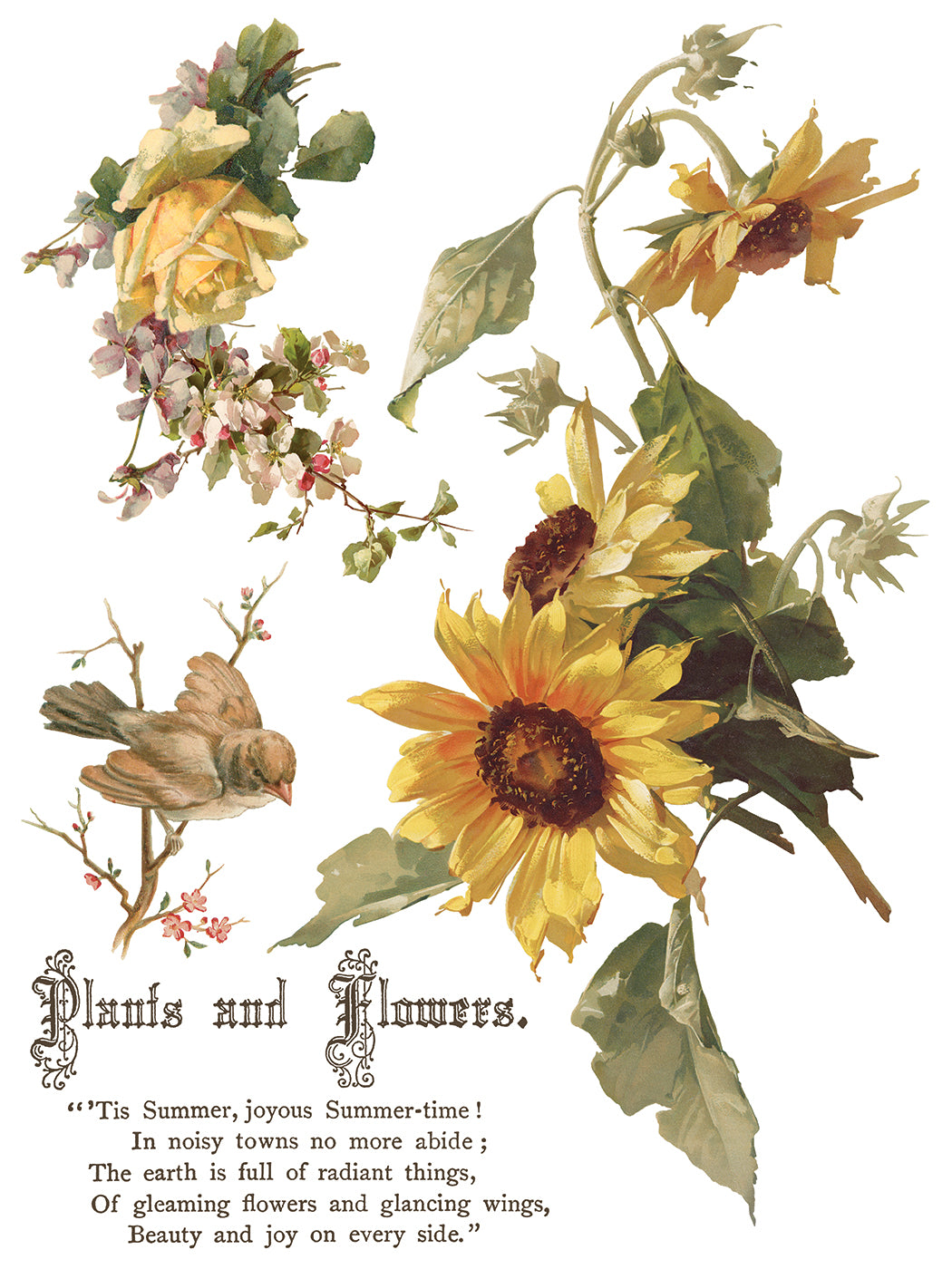 Iron Orchid Designs - Decor Transfer - Flowers by the Poets