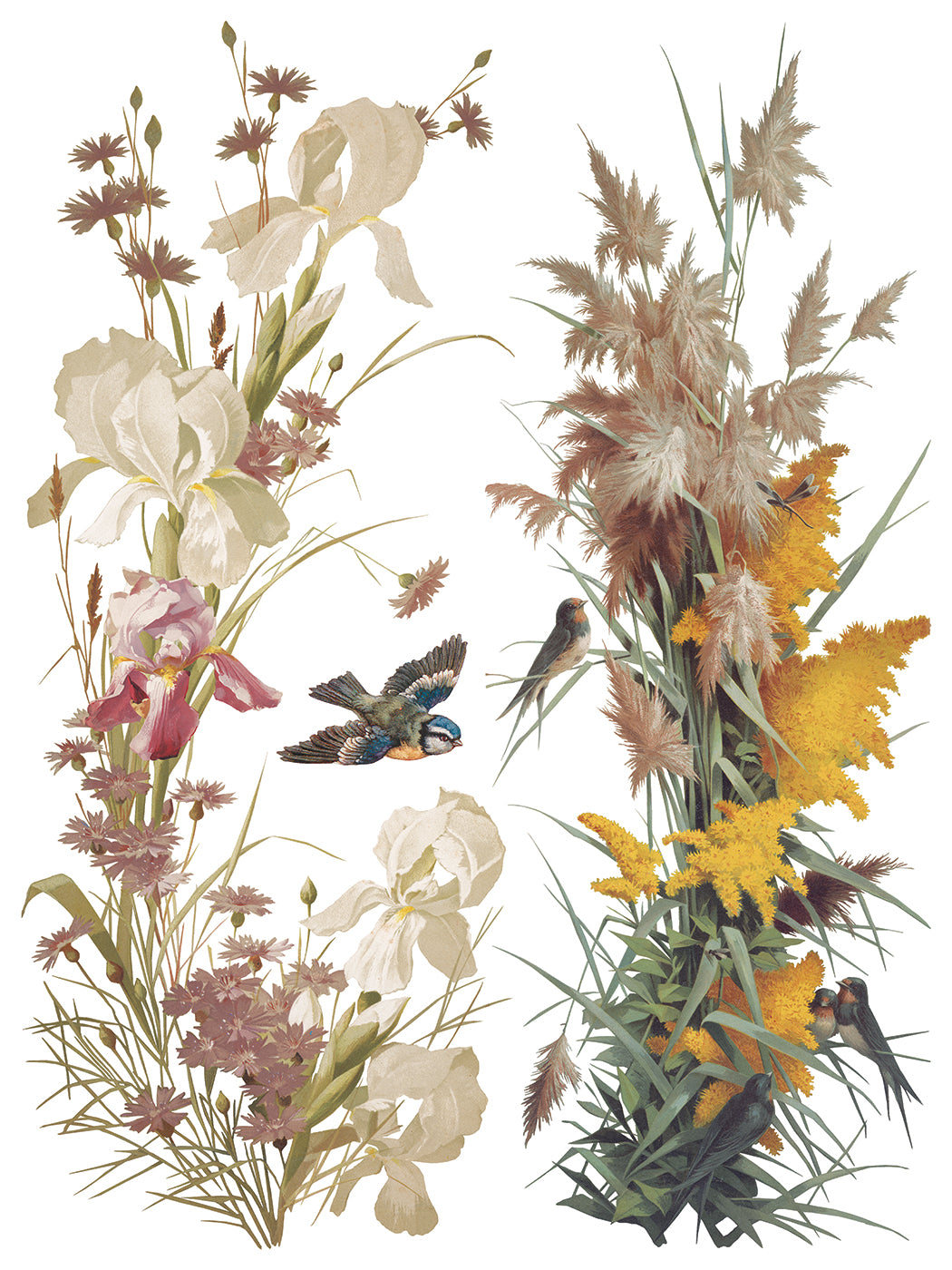 Iron Orchid Designs - Decor Transfer - Flowers by the Poets