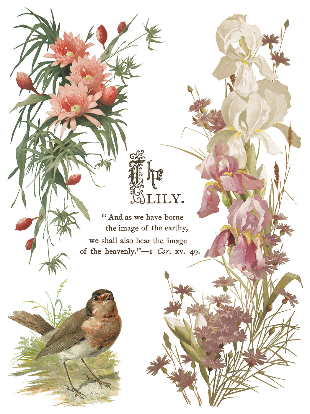 Iron Orchid Designs - Decor Transfer - Flowers by the Poets