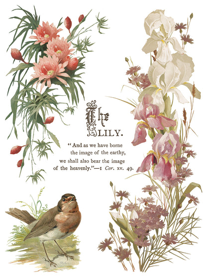 Iron Orchid Designs - Decor Transfer - Flowers by the Poets