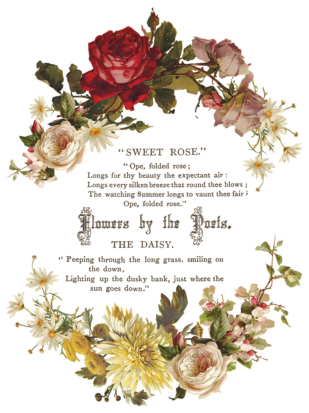 Iron Orchid Designs - Decor Transfer - Flowers by the Poets