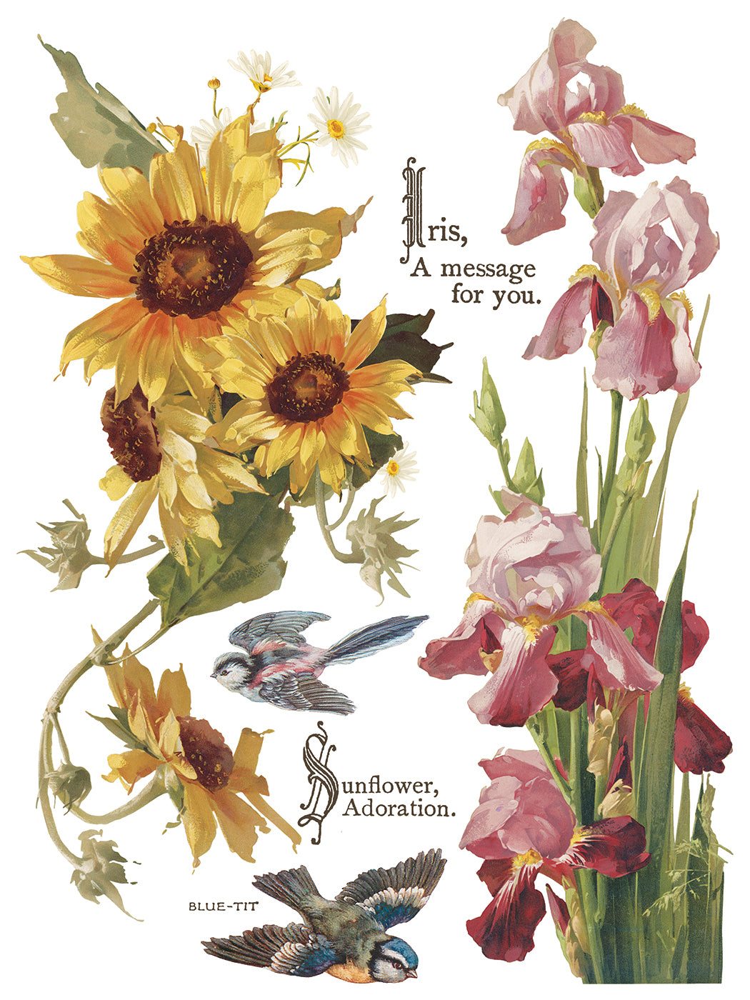 Iron Orchid Designs - Decor Transfer - Flowers by the Poets