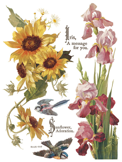 Iron Orchid Designs - Decor Transfer - Flowers by the Poets
