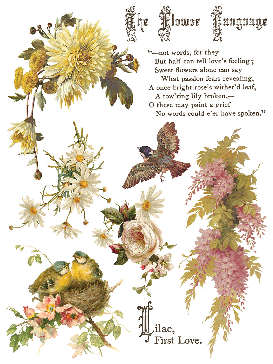 Iron Orchid Designs - Decor Transfer - Flowers by the Poets