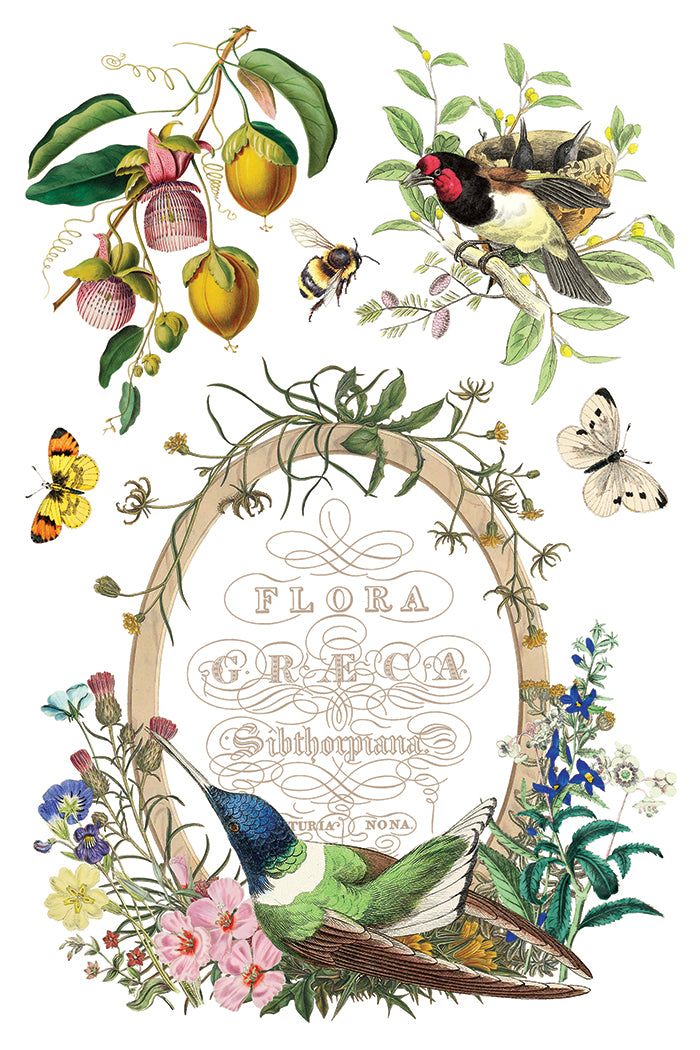 Iron Orchid Designs - Decor Transfer - Flora Greca