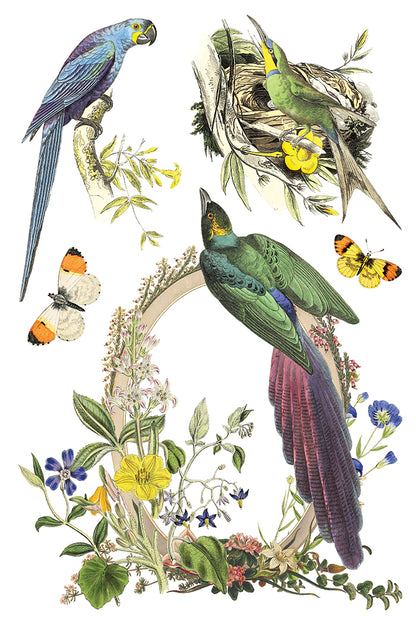 Iron Orchid Designs - Decor Transfer - Flora Greca