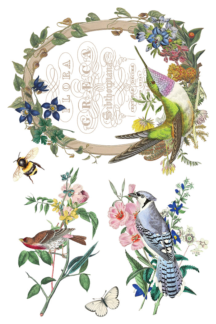 Iron Orchid Designs - Decor Transfer - Flora Greca