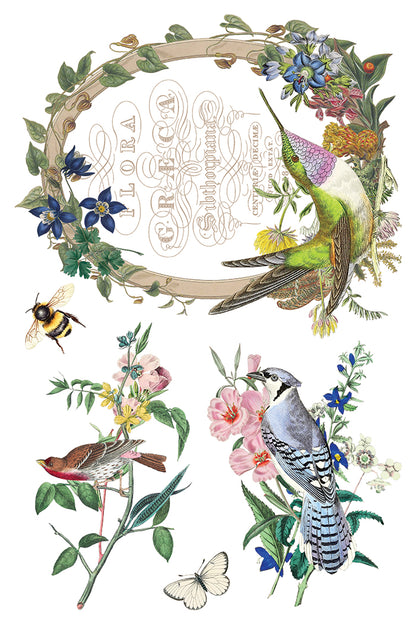 Iron Orchid Designs - Decor Transfer - Flora Greca