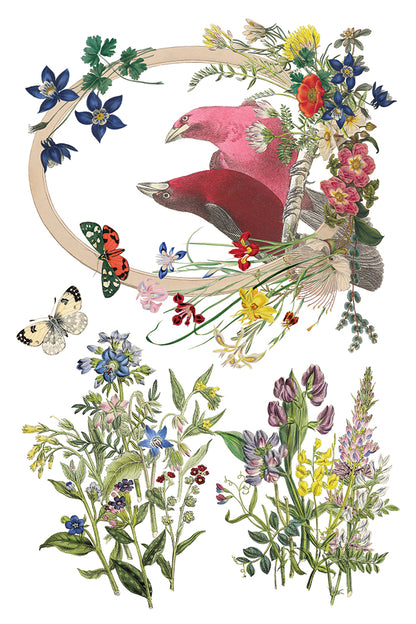 Iron Orchid Designs - Decor Transfer - Flora Greca