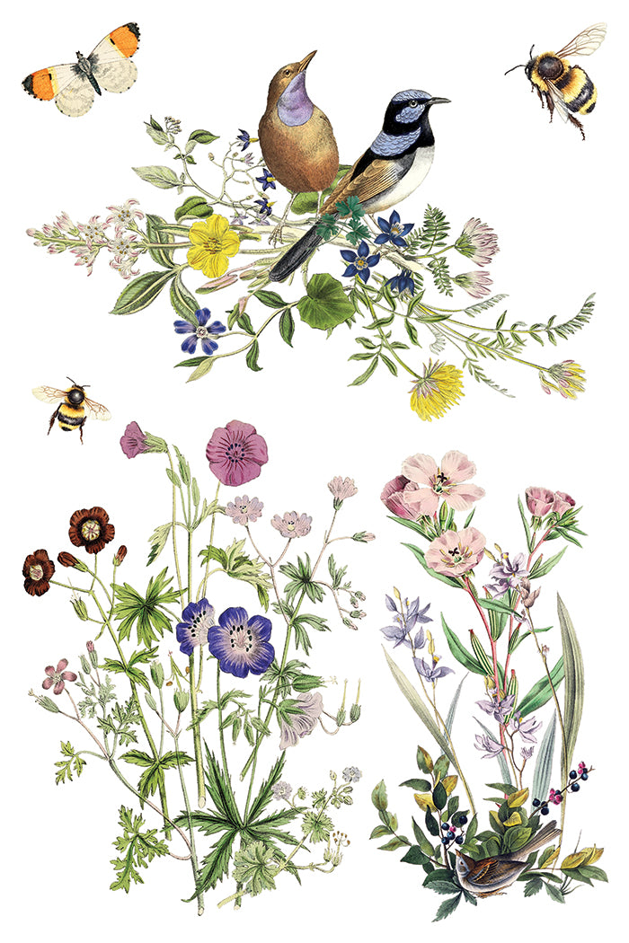 Iron Orchid Designs - Decor Transfer - Flora Greca