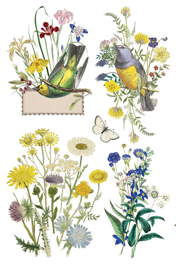 Iron Orchid Designs - Decor Transfer - Flora Greca