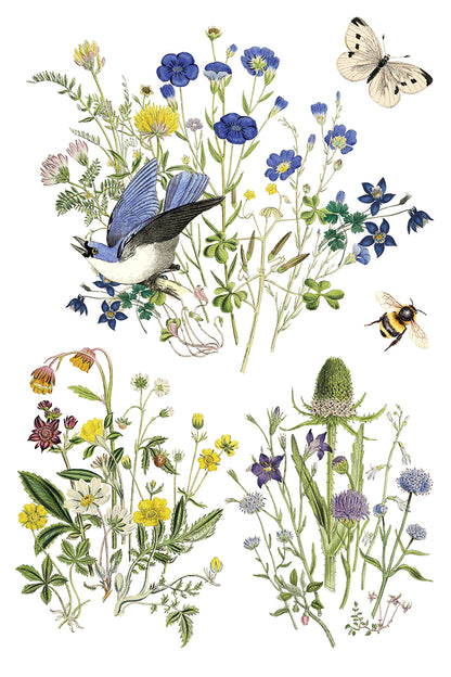 Iron Orchid Designs - Decor Transfer - Flora Greca
