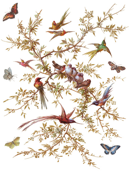 Iron Orchid Designs - Decor Transfer - Madeleine