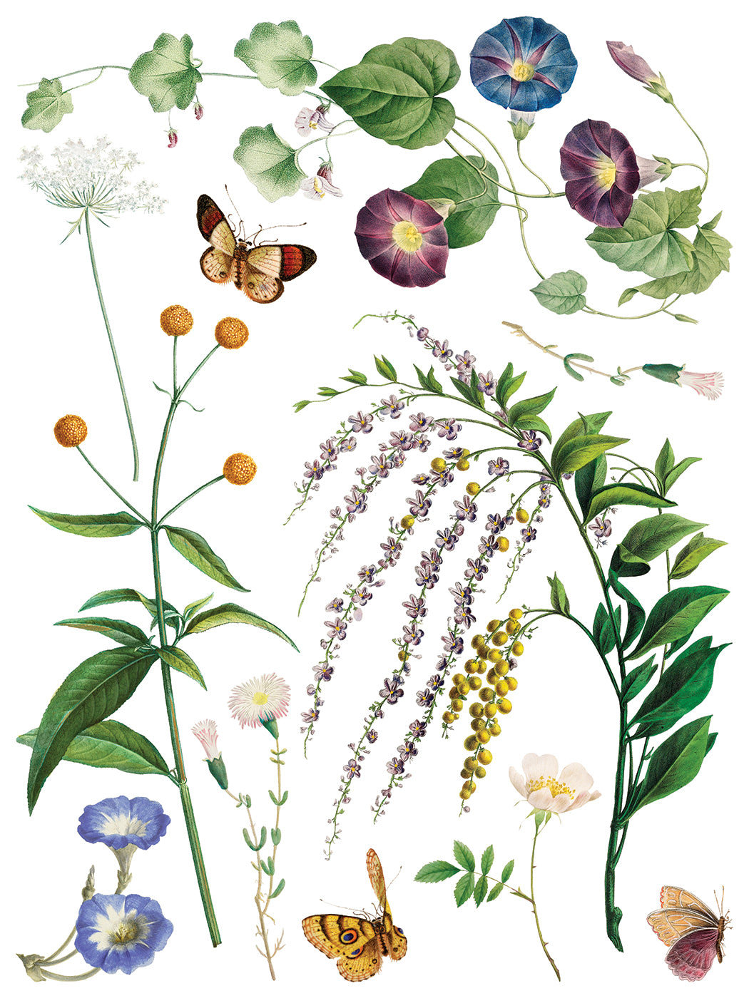 Iron Orchid Designs - Decor Transfer - Marche des Fleurs
