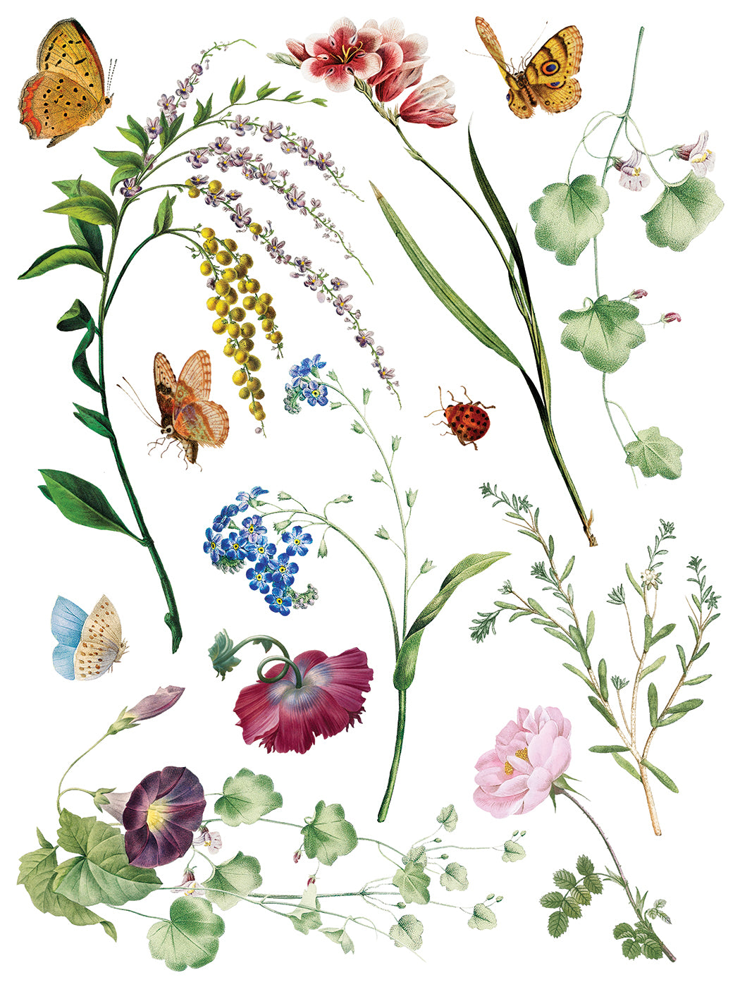 Iron Orchid Designs - Decor Transfer - Marche des Fleurs