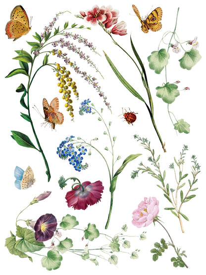 Iron Orchid Designs - Decor Transfer - Marche des Fleurs