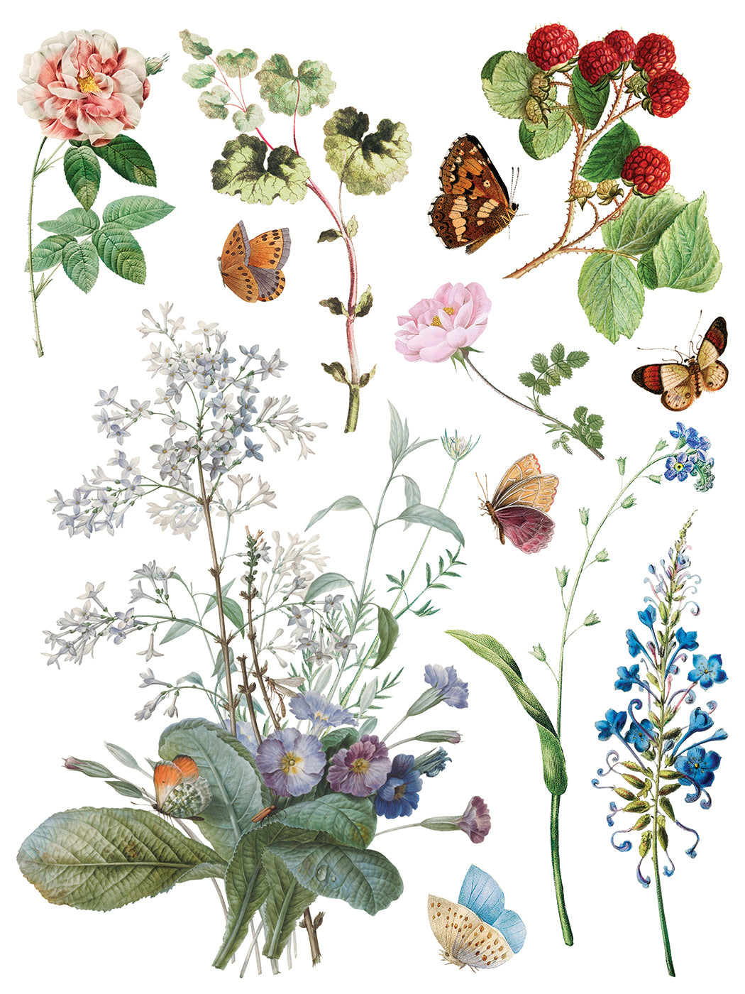 Iron Orchid Designs - Decor Transfer - Marche des Fleurs