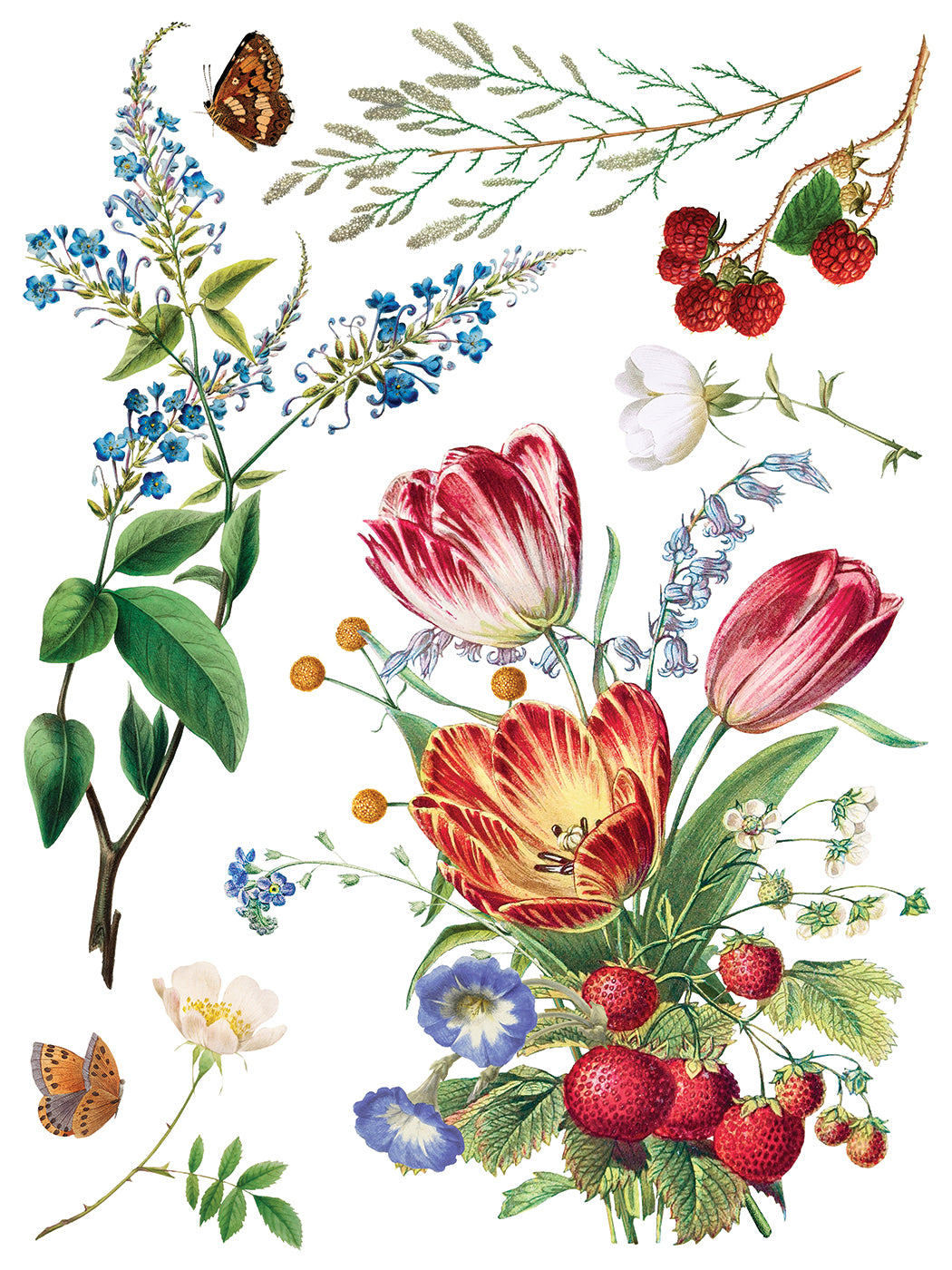 Iron Orchid Designs - Decor Transfer - Marche des Fleurs