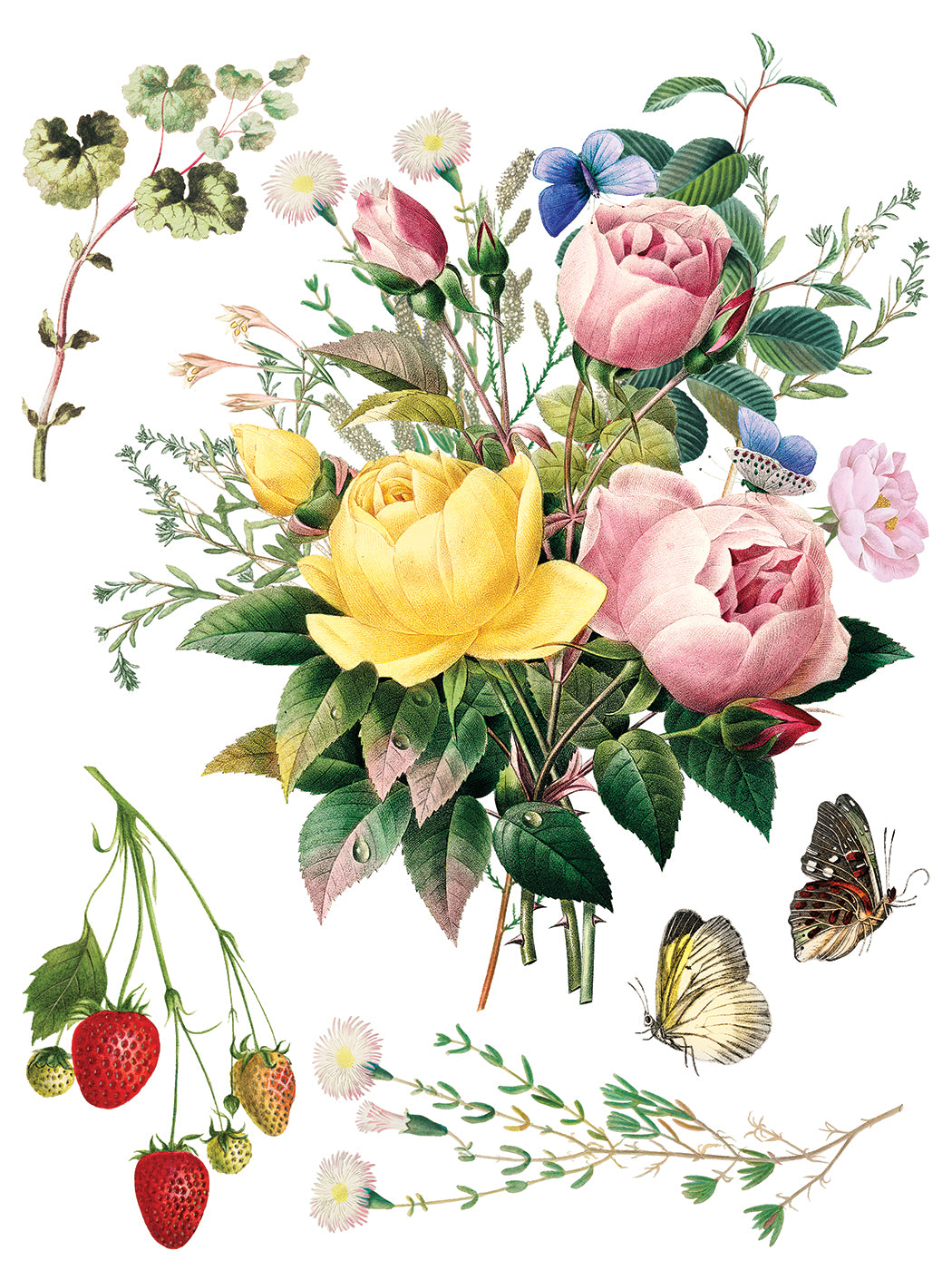 Iron Orchid Designs - Decor Transfer - Marche des Fleurs