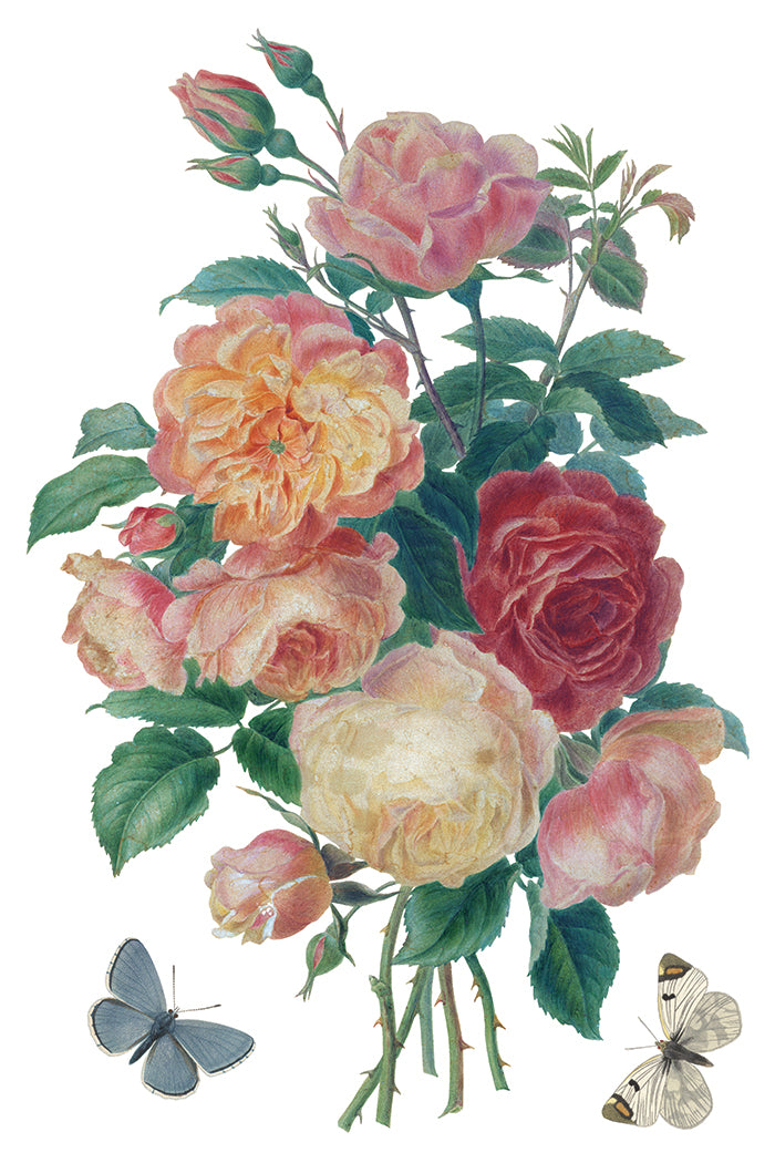 Iron Orchid Designs - Decor Transfer - Saint Ouen
