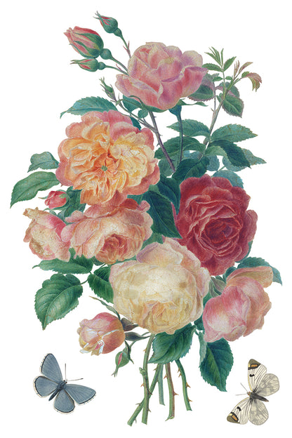Iron Orchid Designs - Decor Transfer - Saint Ouen