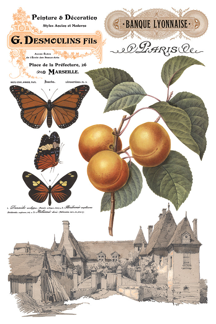 Iron Orchid Designs - Decor Transfer - Saint Ouen