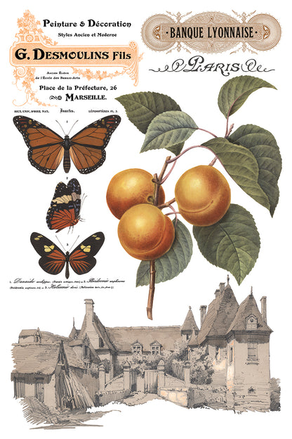 Iron Orchid Designs - Decor Transfer - Saint Ouen