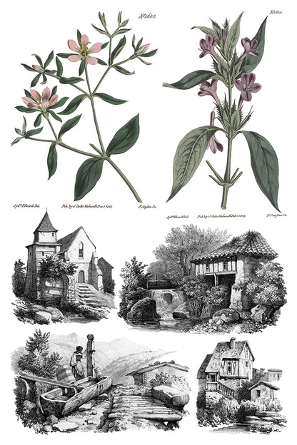 Iron Orchid Designs - Decor Transfer - Saint Ouen