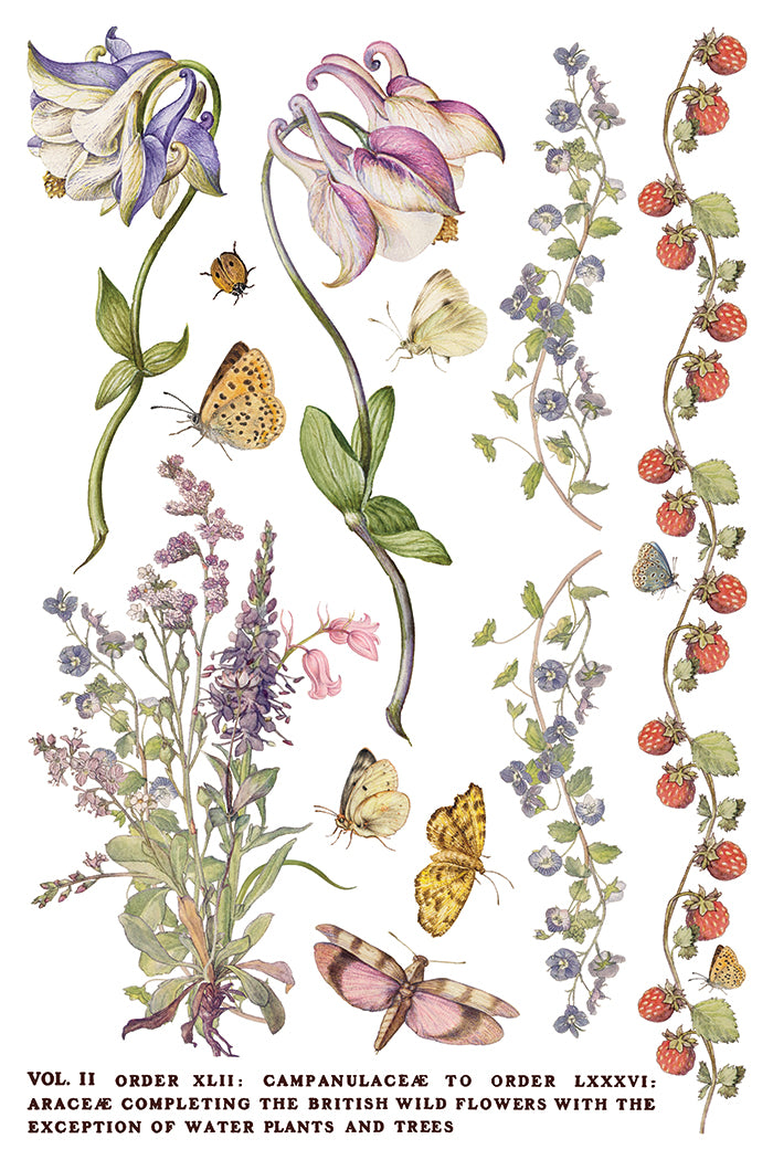 Iron Orchid Designs - Decor Transfer - Primrose Isle