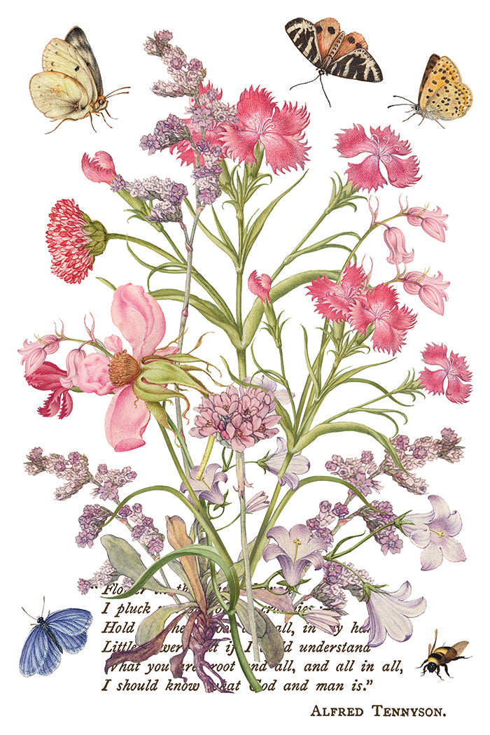 Iron Orchid Designs - Decor Transfer - Primrose Isle