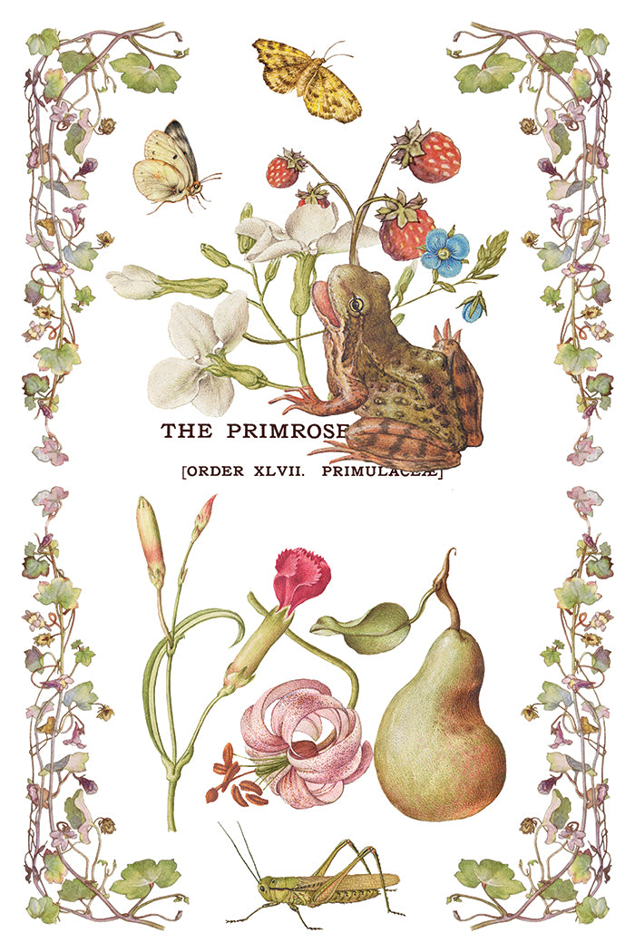 Iron Orchid Designs - Decor Transfer - Primrose Isle