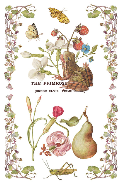 Iron Orchid Designs - Decor Transfer - Primrose Isle
