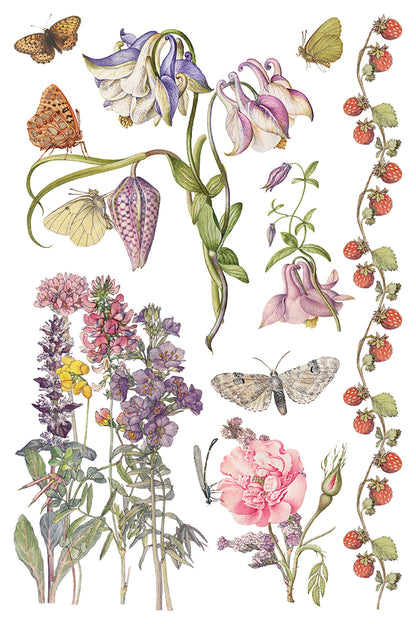 Iron Orchid Designs - Decor Transfer - Primrose Isle