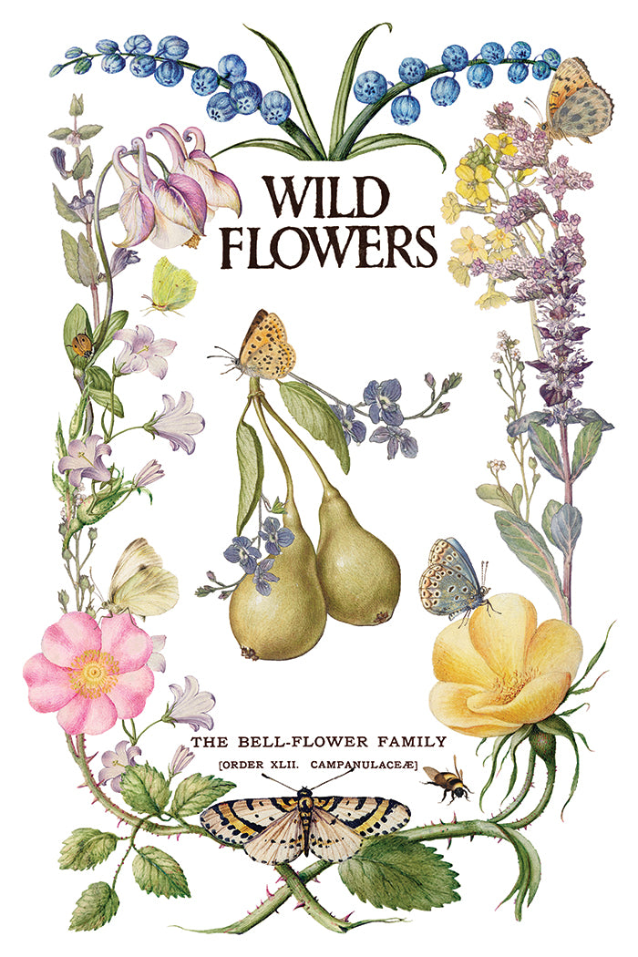 Iron Orchid Designs - Decor Transfer - Primrose Isle