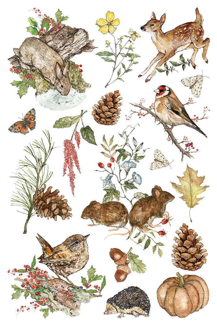 Iron Orchid Designs - Decor Transfer - The Bramblewood Diaries