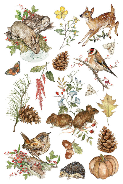 Iron Orchid Designs - Decor Transfer - The Bramblewood Diaries