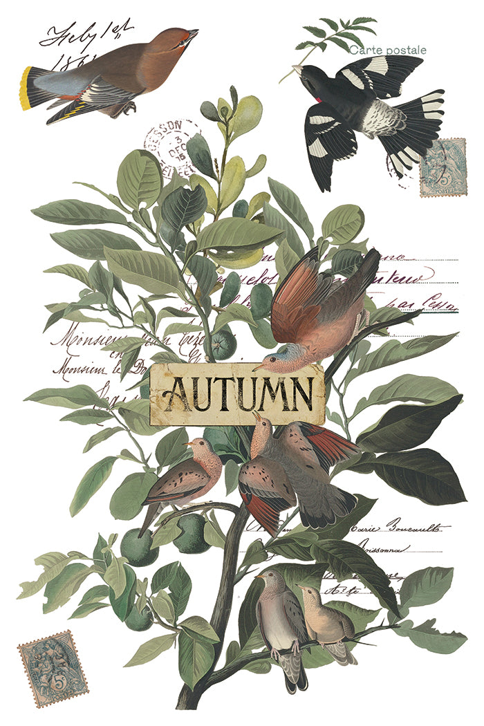 Iron Orchid Designs - Decor Transfer - Winter's Calling