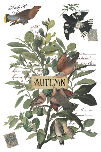 Iron Orchid Designs - Decor Transfer - Winter's Calling
