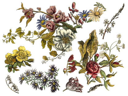 Iron Orchid Designs - Floral Anthology Decor Transfer Pad - Rustic River Home